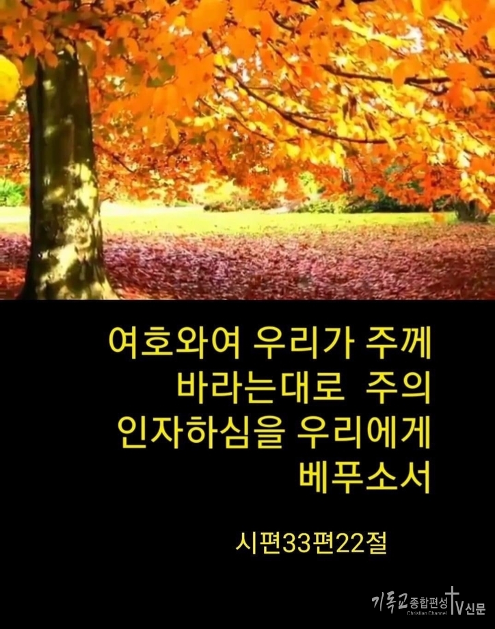 울산주광교회